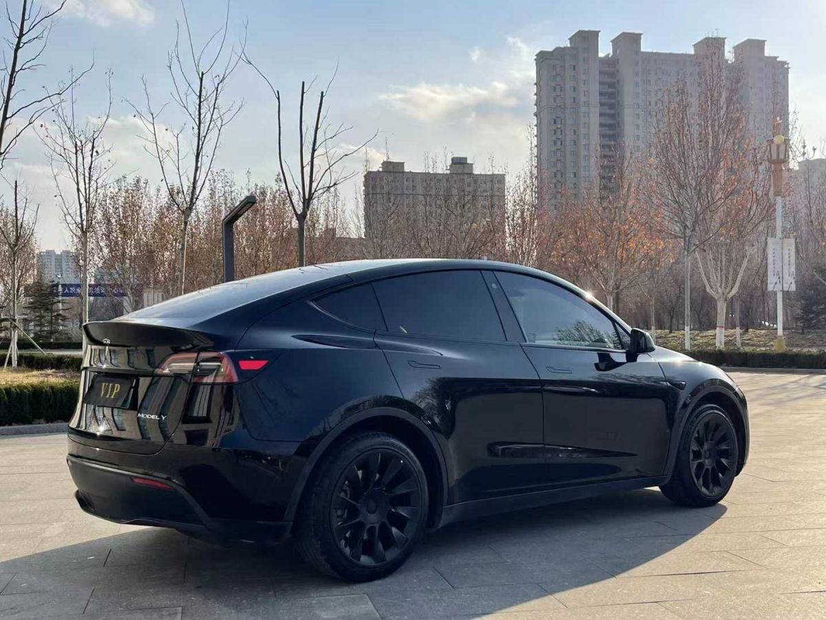 特斯拉 Model Y  2021款 標(biāo)準(zhǔn)續(xù)航后驅(qū)版圖片