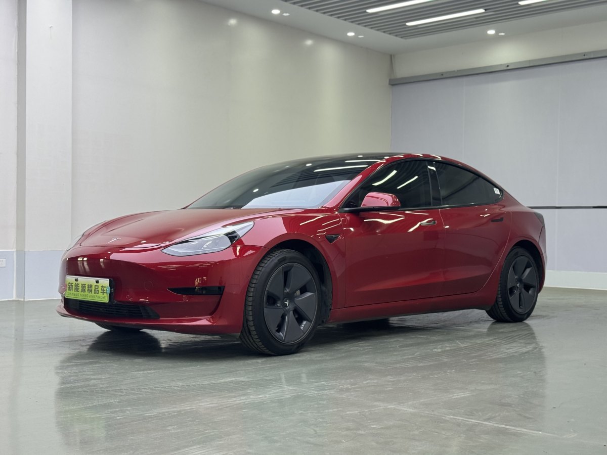 特斯拉 Model 3  2019款 標(biāo)準(zhǔn)續(xù)航后驅(qū)升級版圖片