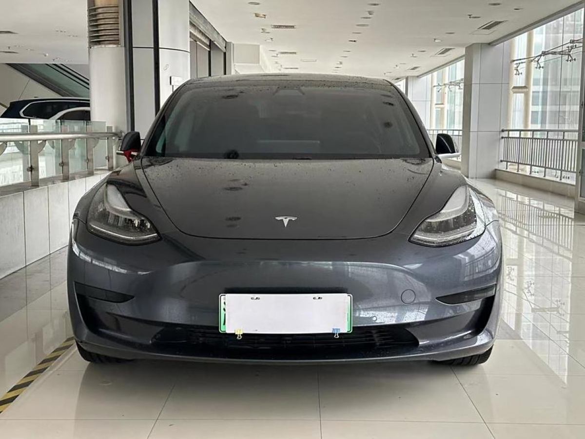 特斯拉 Model 3  2019款 標(biāo)準(zhǔn)續(xù)航后驅(qū)升級(jí)版圖片