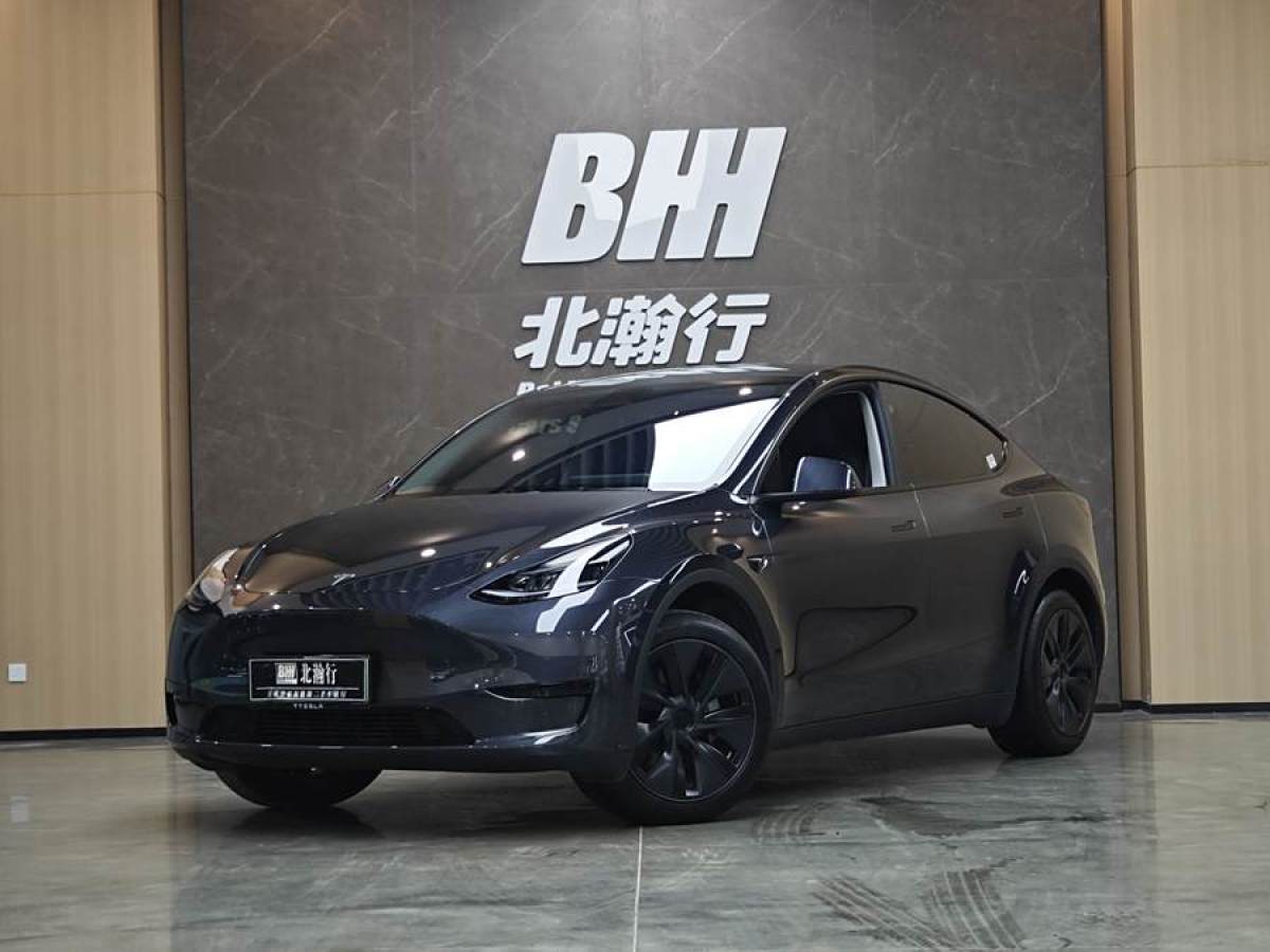 特斯拉 Model Y  2020款 改款 長續(xù)航后輪驅(qū)動版圖片