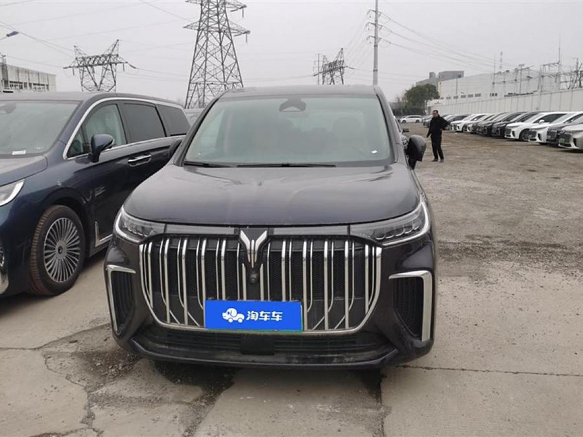 嵐圖 夢(mèng)想家  2024款 PHEV 超長(zhǎng)續(xù)航旗艦版圖片