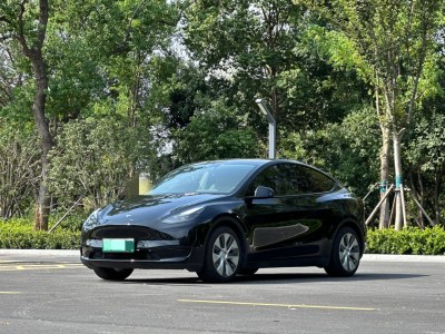 2022年3月 特斯拉 Model Y 后驱版图片