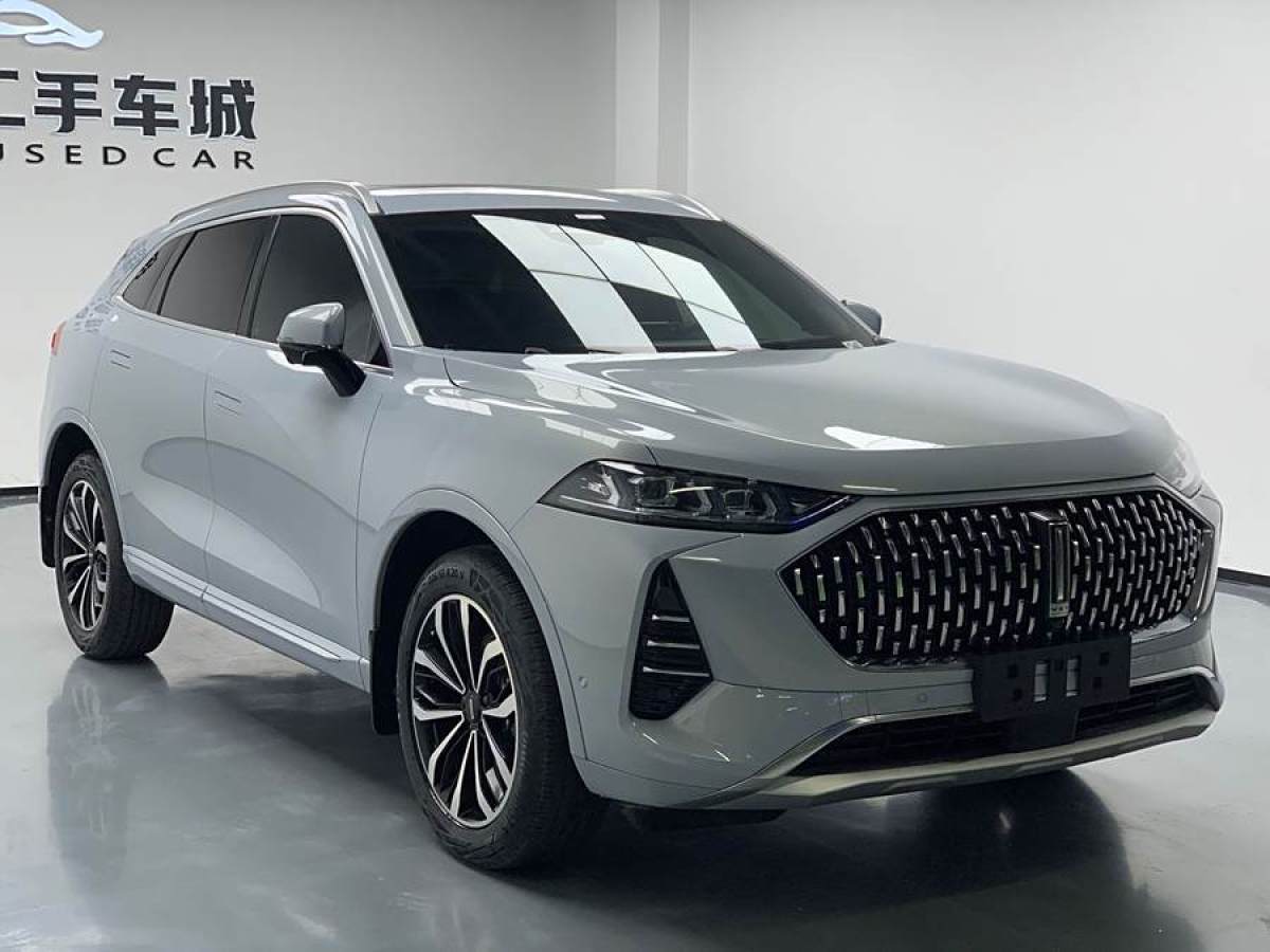 長(zhǎng)城 摩卡  2021款 2.0T 兩驅(qū)特醇版圖片