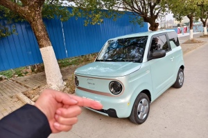 熊貓mini 吉利 200km 耐力熊