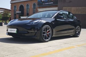 Model 3 特斯拉 Performance高性能全輪驅動版