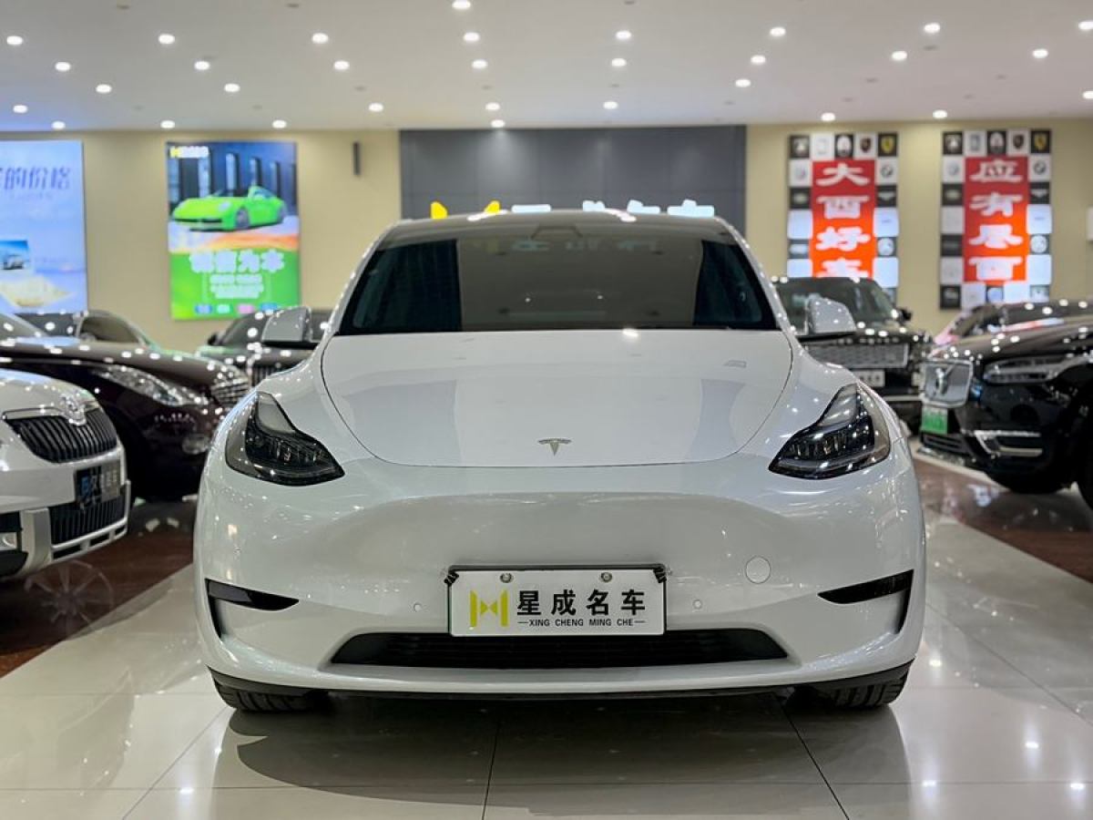 特斯拉 Model 3  2021款 改款 標(biāo)準(zhǔn)續(xù)航后驅(qū)升級版圖片