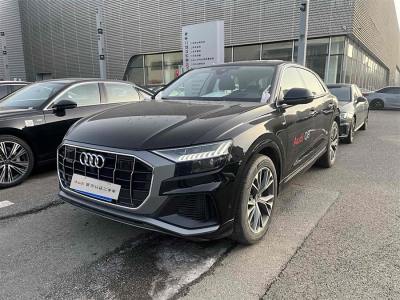 2024年1月 奧迪 奧迪Q8(進口) 55 TFSI 豪華動感型圖片