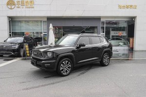 哈弗二代大狗 哈弗 2.0T 兩驅(qū)潮野版Plus