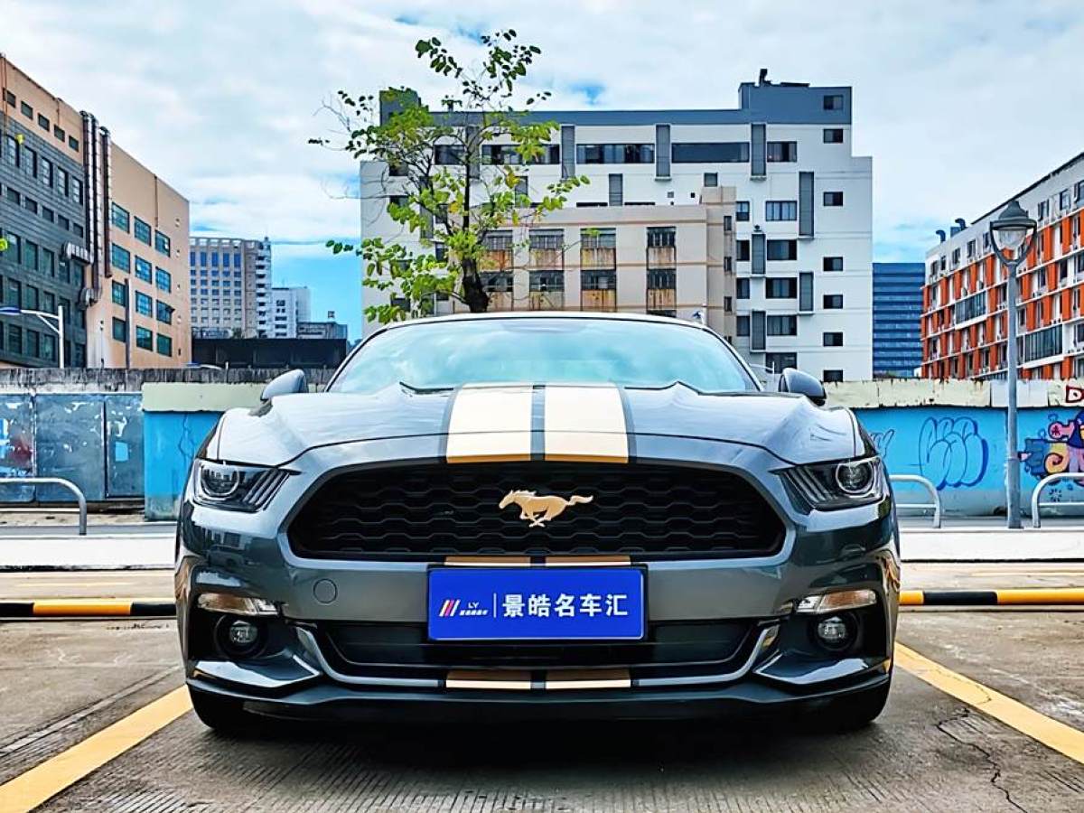 福特 Mustang  2017款 2.3T 性能版圖片