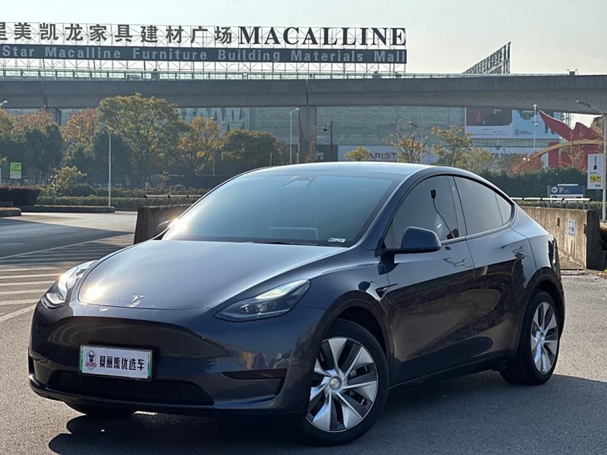 特斯拉 Model 3  2020款 改款 長續(xù)航后輪驅(qū)動版圖片