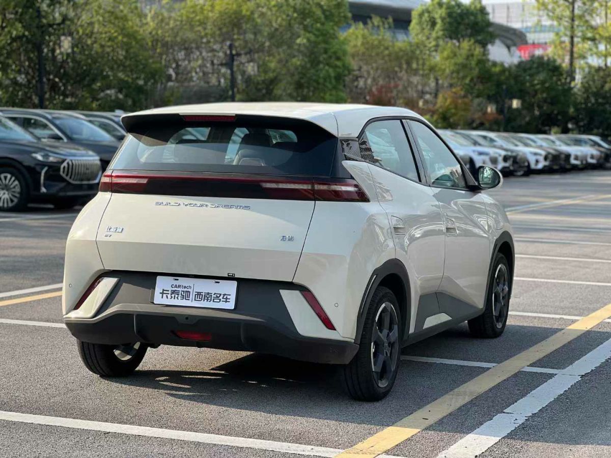 比亚迪 宋L  2024款 550km 卓越型图片