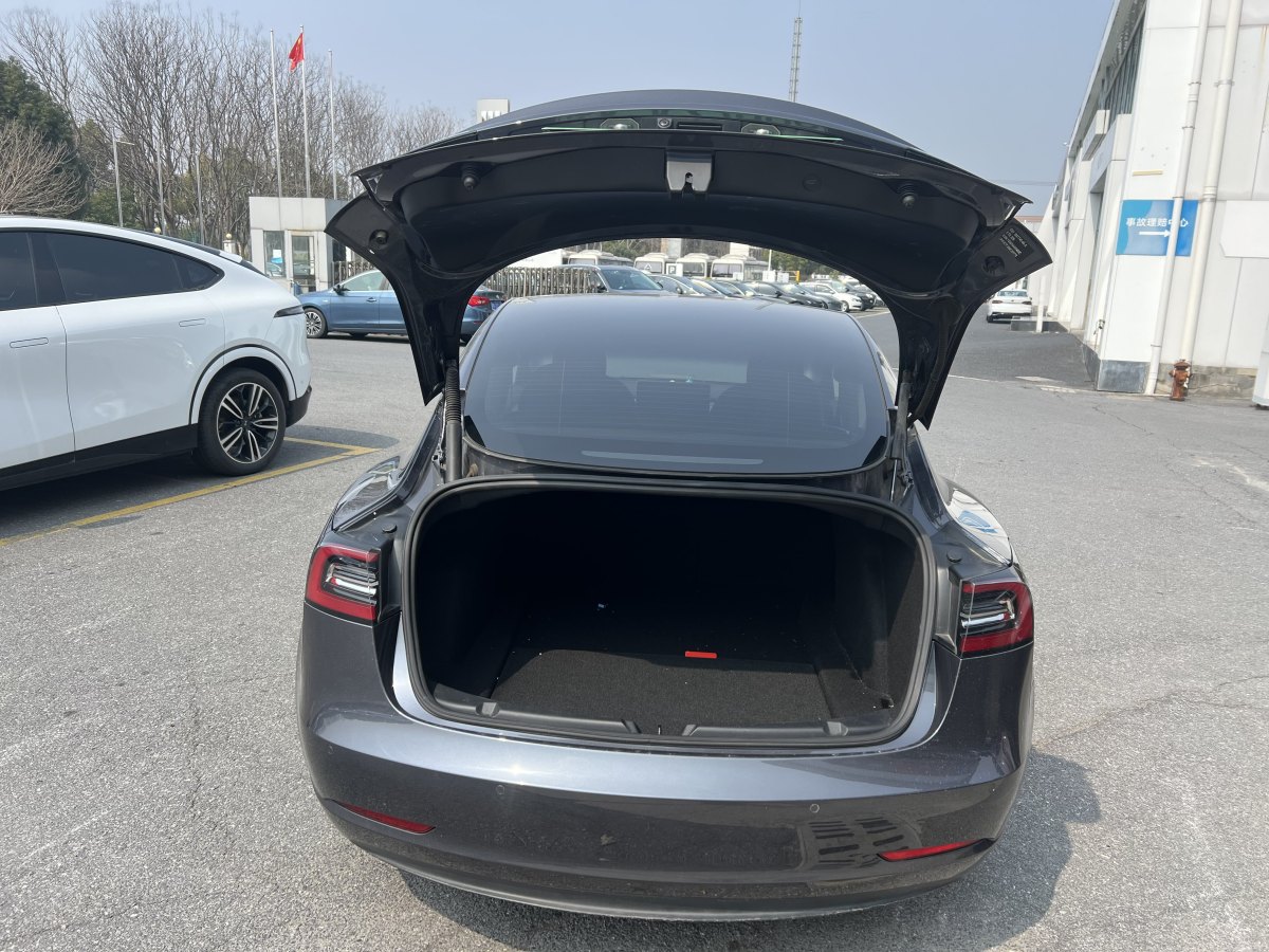 特斯拉 Model 3  2019款 標準續(xù)航后驅升級版圖片