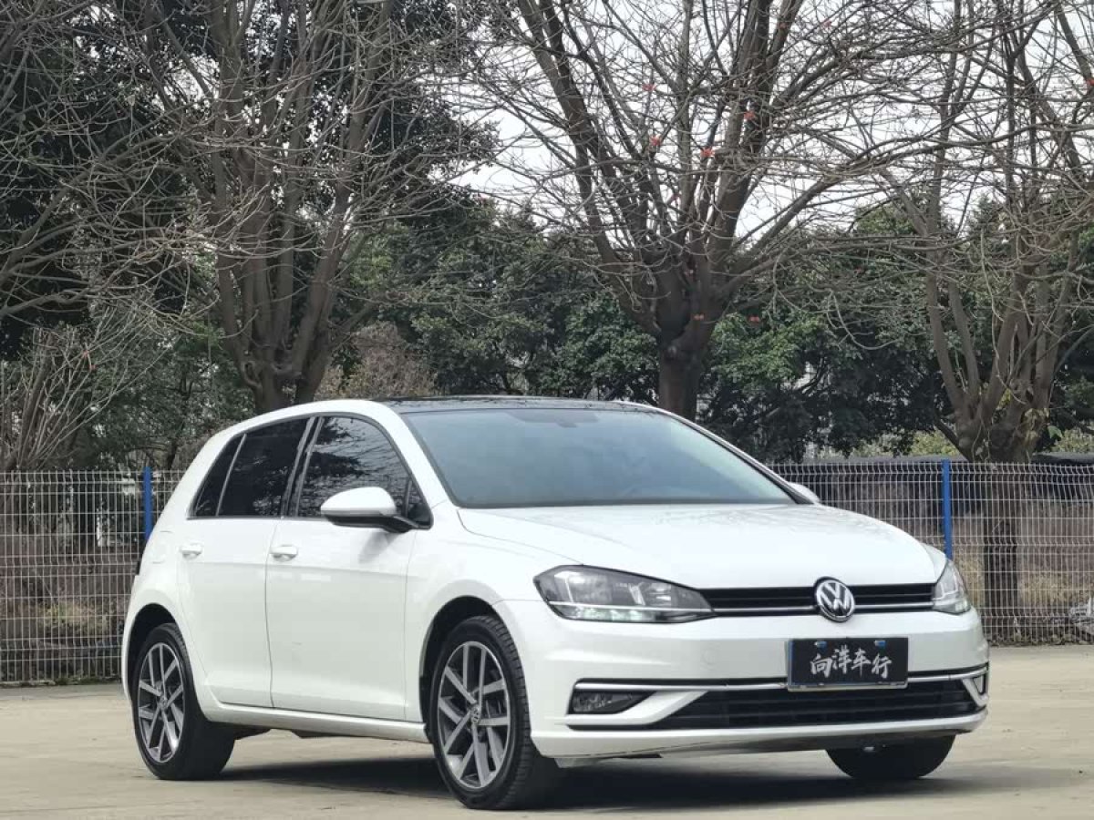 大眾 高爾夫  2018款 230TSI 自動(dòng)豪華型圖片