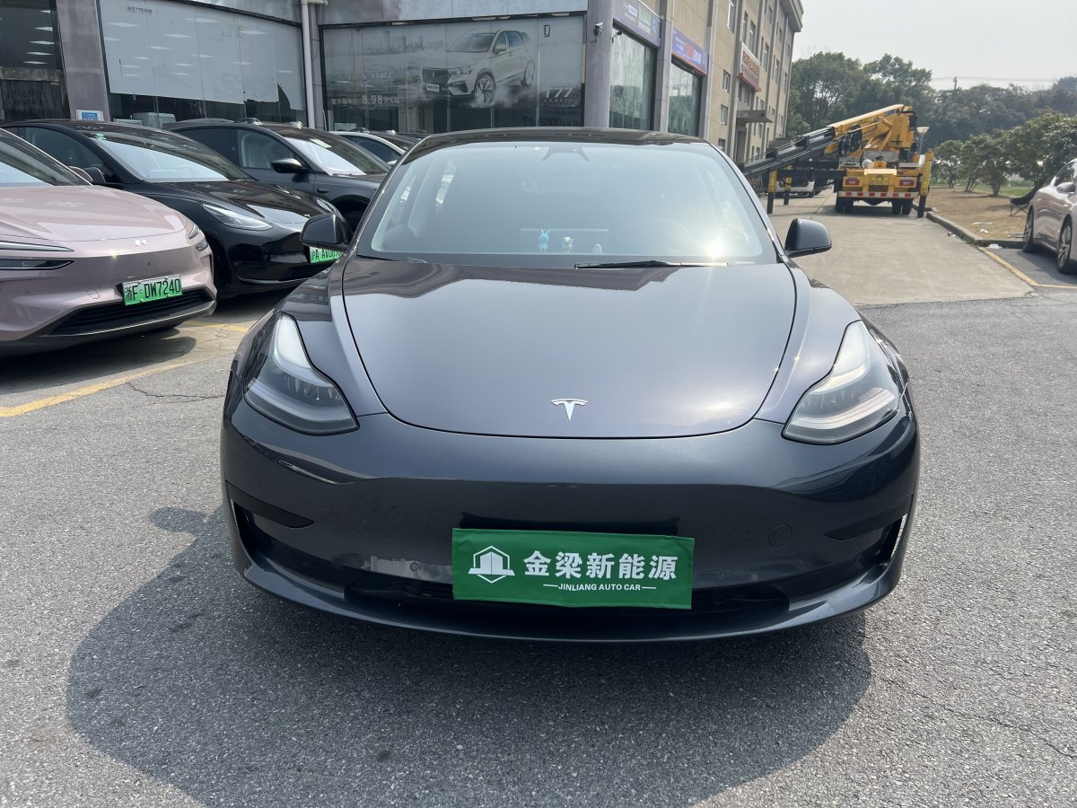 特斯拉 Model 3  2019款 標準續(xù)航后驅升級版圖片