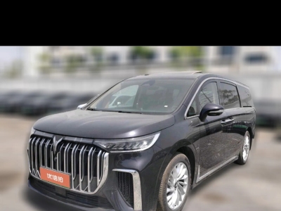 2024年6月 嵐圖 夢想家 PHEV 超長續(xù)航尊貴版圖片