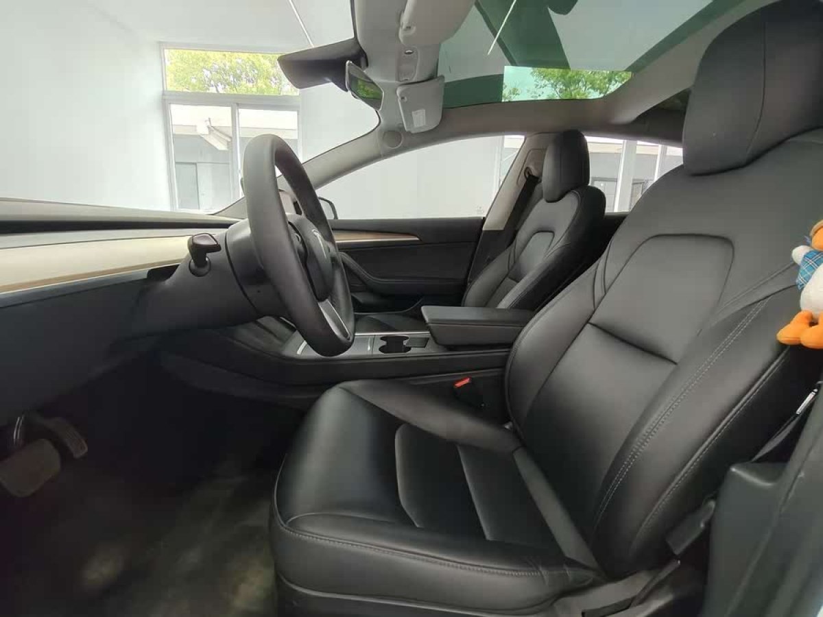 特斯拉 Model 3  2021款 標(biāo)準(zhǔn)續(xù)航后驅(qū)升級(jí)版 3D6圖片