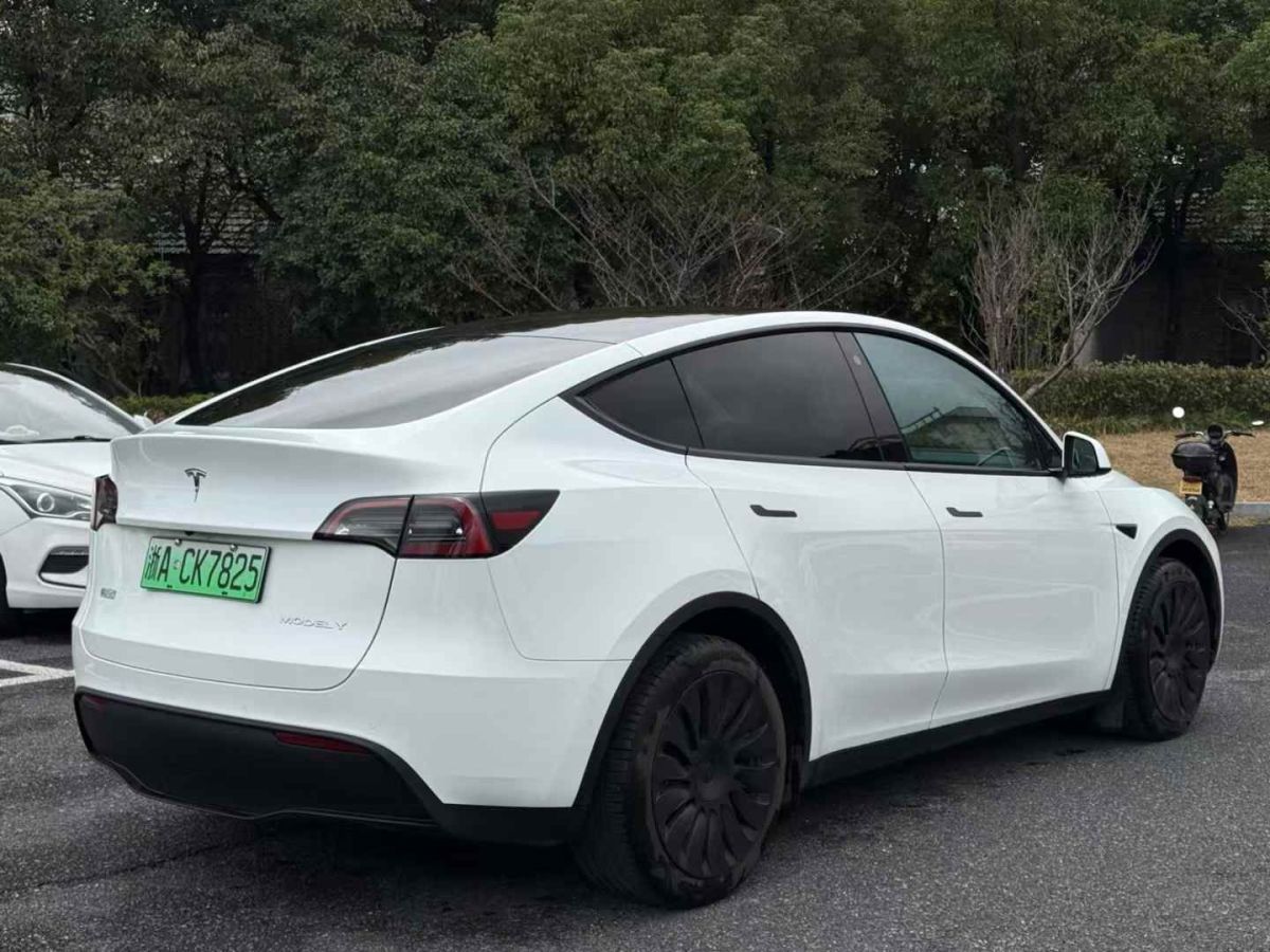 特斯拉 Model S  2023款 三電機(jī)全輪驅(qū)動(dòng) Plaid版圖片