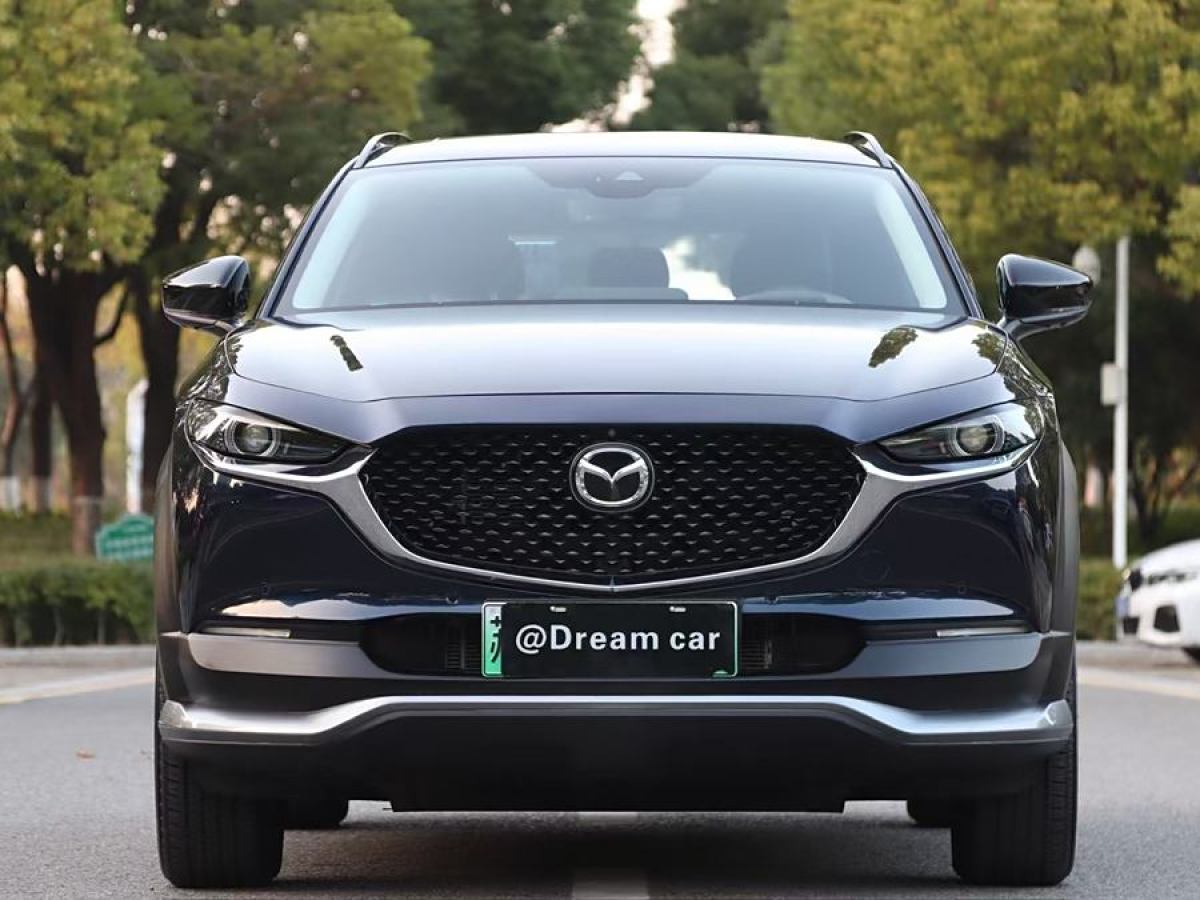 馬自達 馬自達CX-30 EV  2021款 純電尊享版圖片