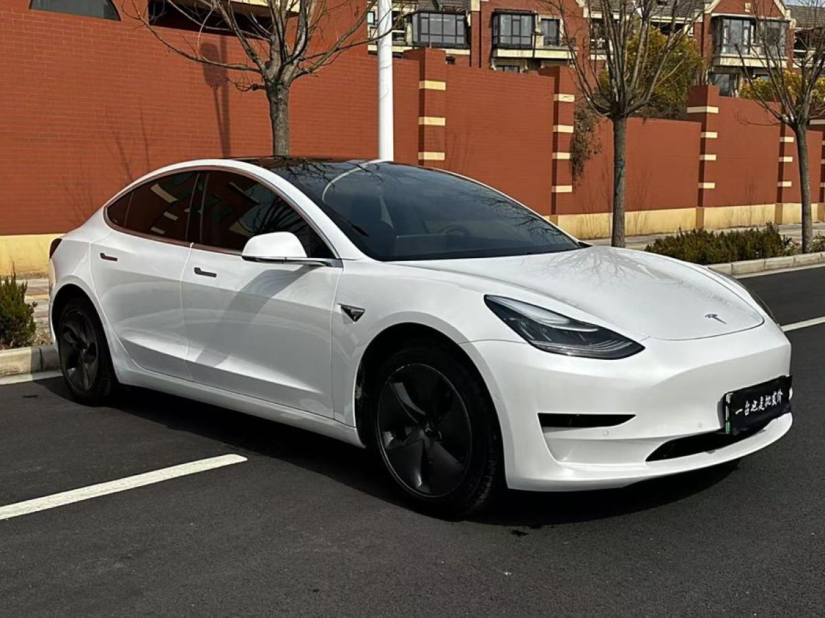 特斯拉 Model 3  2020款 改款 標準續(xù)航后驅升級版圖片