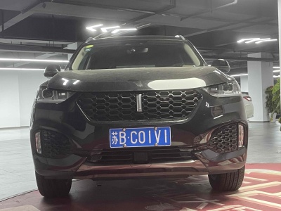 2019年4月 WEY VV6 2.0T 两驱超豪型图片