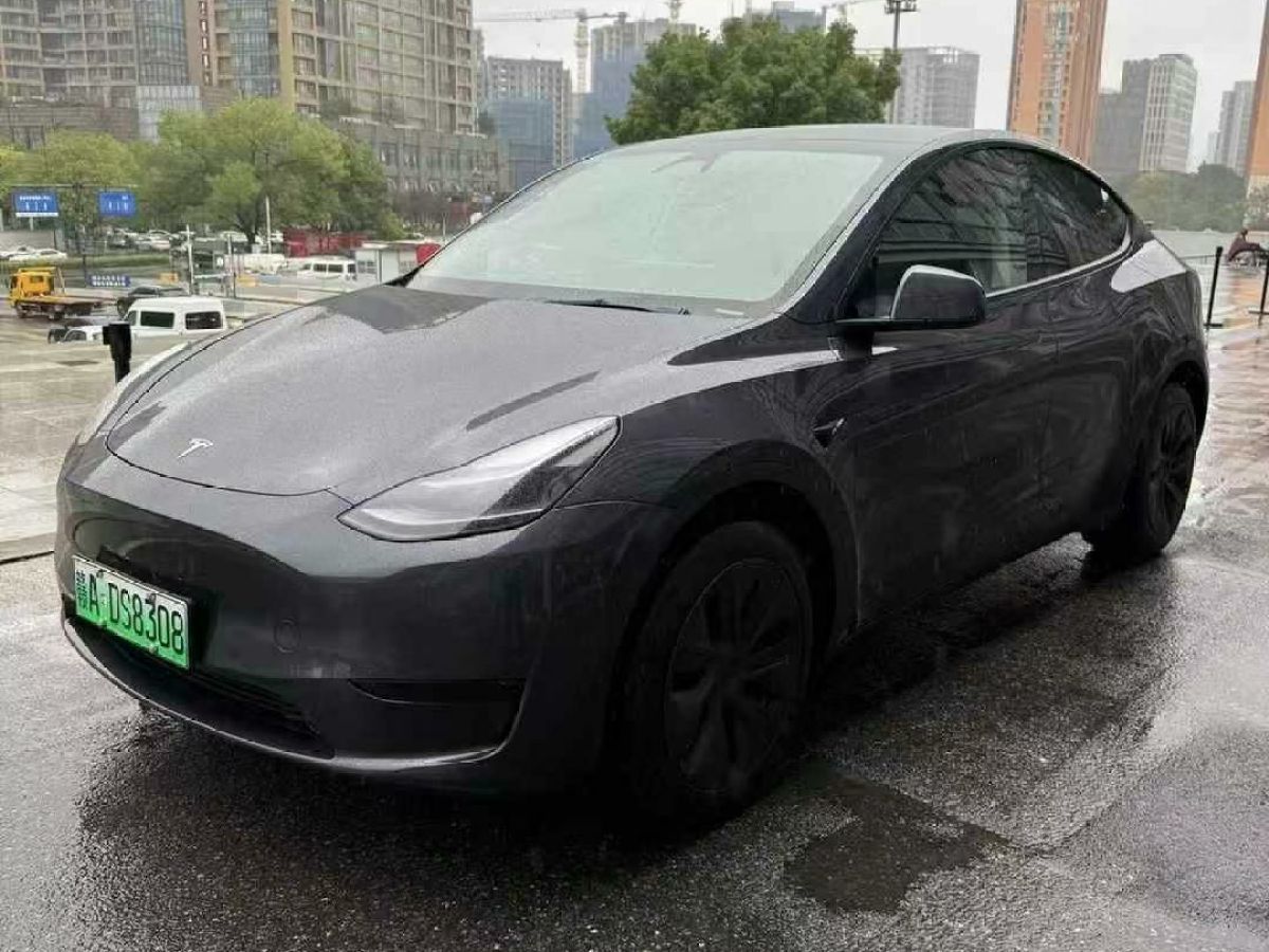 特斯拉 Model Y  2024款 Performance高性能版圖片