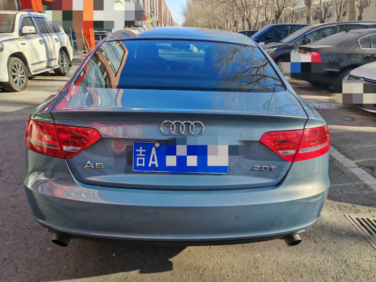 奧迪 奧迪A5  2010款 A5 Cabriolet 2.0T圖片