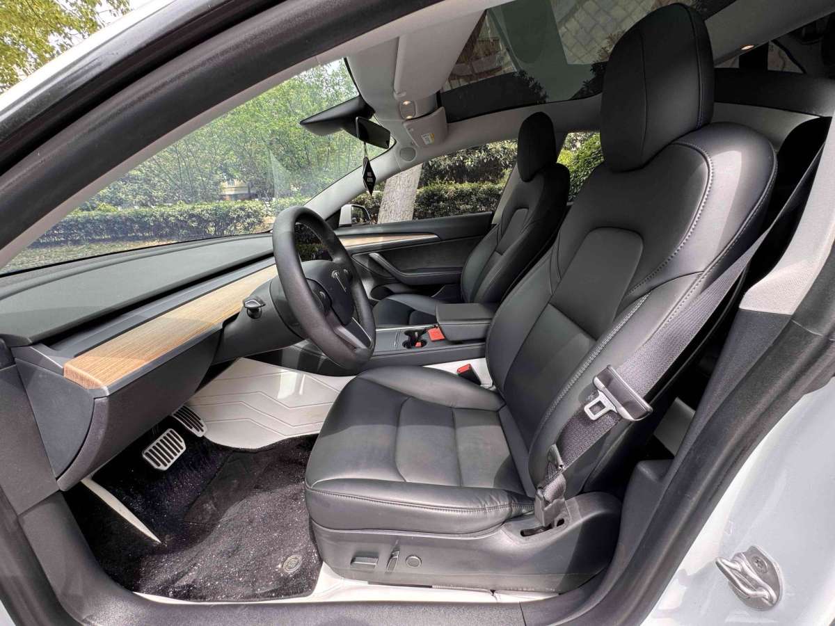 特斯拉 Model 3  2021款 標(biāo)準(zhǔn)續(xù)航后驅(qū)升級(jí)版圖片