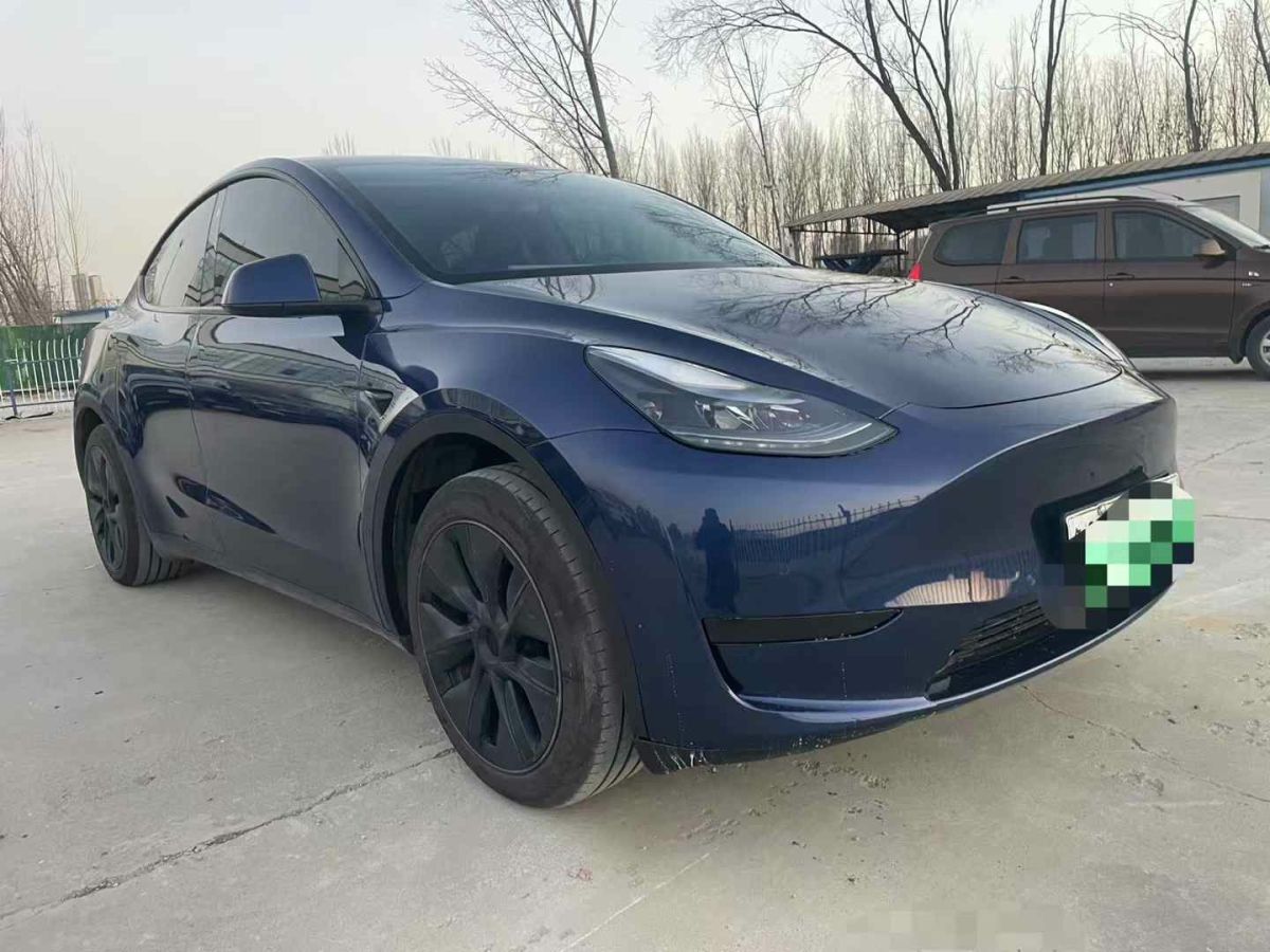 特斯拉 Model Y  2024款 Performance高性能版圖片