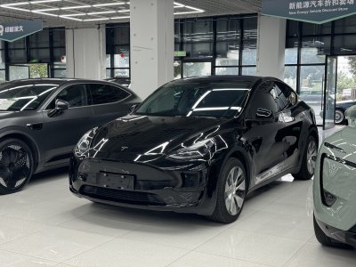 2023年1月 特斯拉 Model Y 改款 長(zhǎng)續(xù)航后輪驅(qū)動(dòng)版圖片