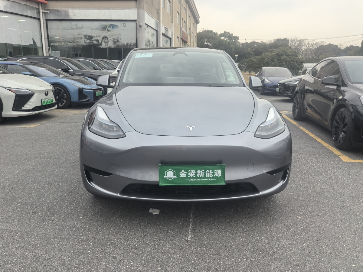 特斯拉 Model 3  2020款 改款 長(zhǎng)續(xù)航后輪驅(qū)動(dòng)版圖片