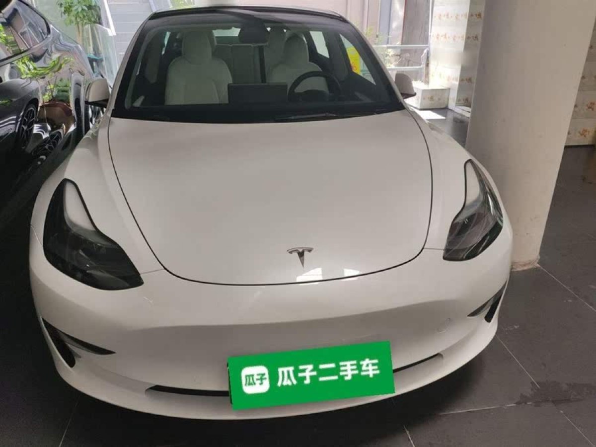 特斯拉 Model 3  2022款 Performance高性能全輪驅(qū)動版圖片