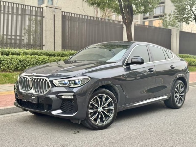 寶馬 寶馬X6(進口) xDrive40i M運動套裝圖片