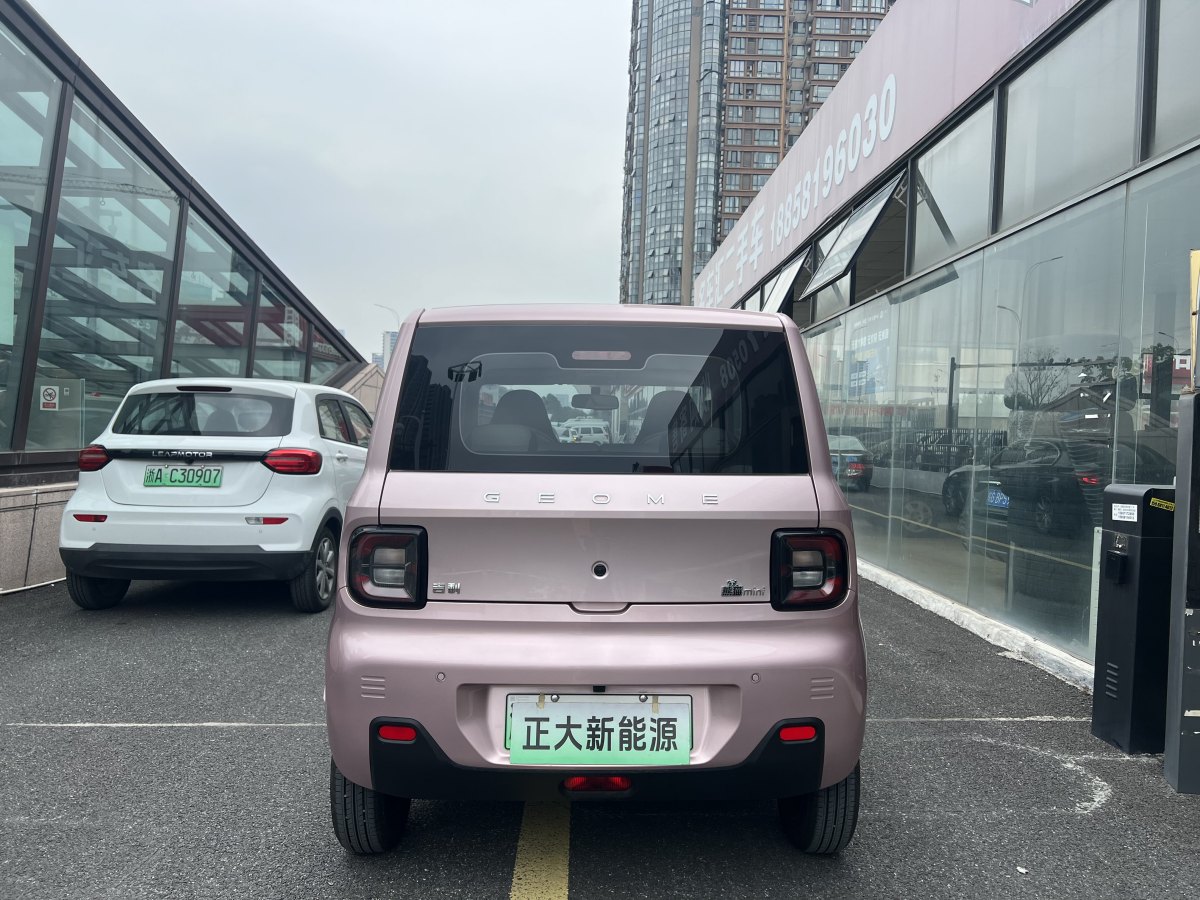 2023年6月吉利 熊貓mini  2023款 200km 耐力熊