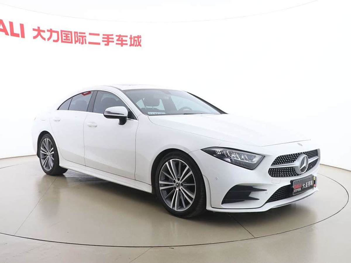 奔馳 奔馳CLS級  2020款 CLS 300 動感型圖片