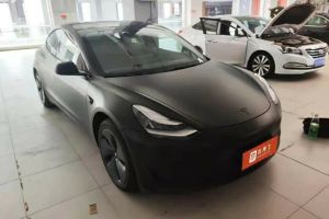 Model X 特斯拉 Performance 高性能版