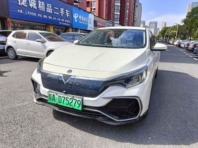 2021年6月 啟辰 D60EV 標(biāo)準(zhǔn)續(xù)航舒適版圖片