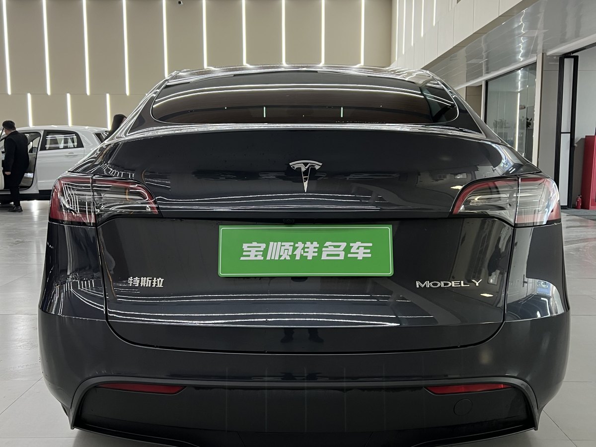 特斯拉 Model 3  2020款 改款 長續(xù)航后輪驅(qū)動(dòng)版圖片