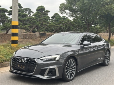 2021年05月 奧迪 奧迪A5(進(jìn)口) Sportback 45 TFSI quattro 臻選動(dòng)感型圖片