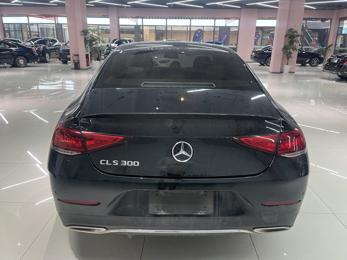 奔馳 奔馳CLS級  2023款 改款 CLS 300 豪華型圖片