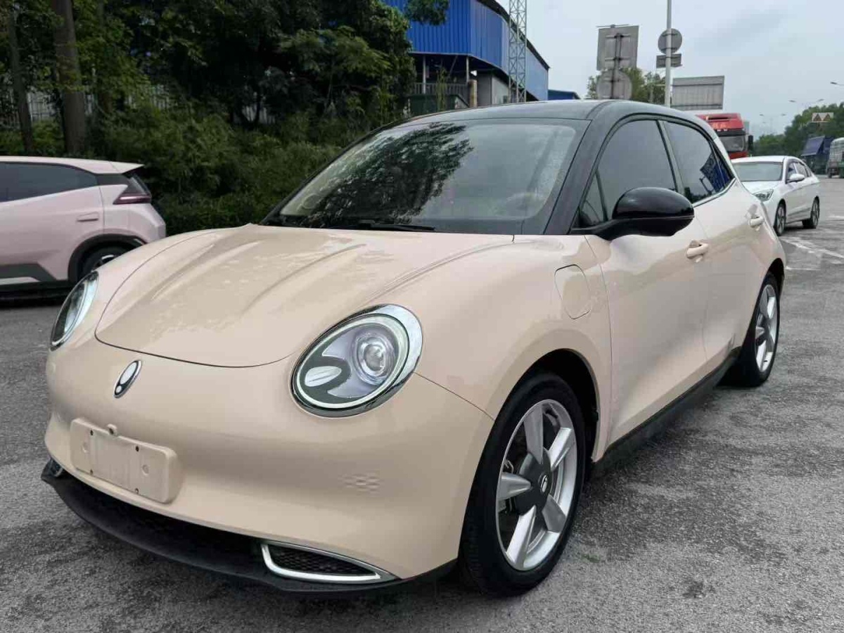 歐拉 歐拉好貓  2021款 400km標(biāo)準(zhǔn)續(xù)航 維納斯版圖片