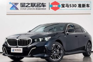 寶馬5系 寶馬 530Li 領(lǐng)先型 M運(yùn)動(dòng)套裝