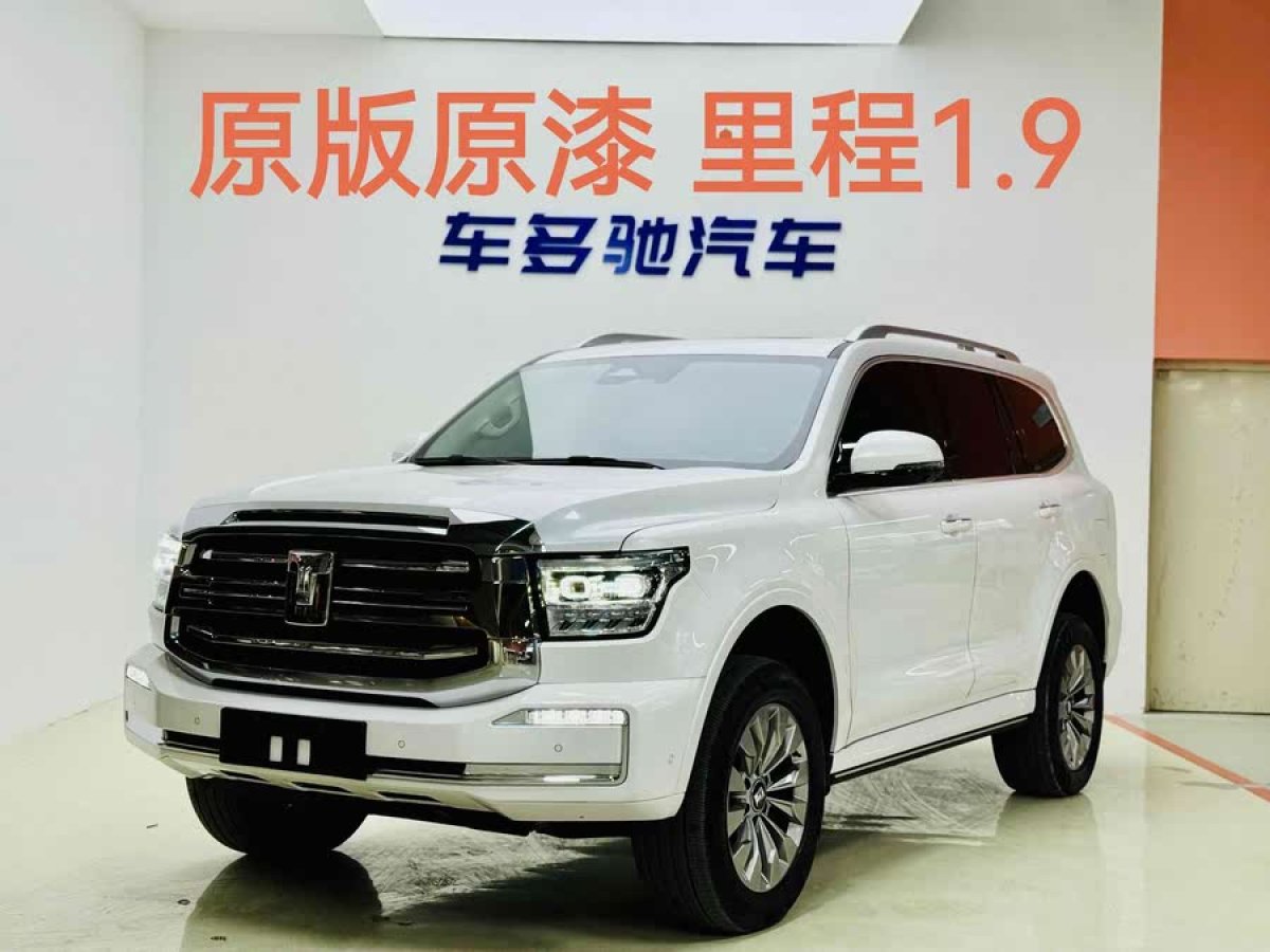 坦克 坦克500新能源  2023款 改款 Hi4-T圖片