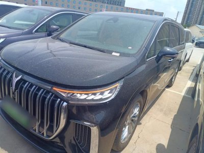 2024年6月 嵐圖 夢想家 PHEV 超長續(xù)航尊貴版圖片