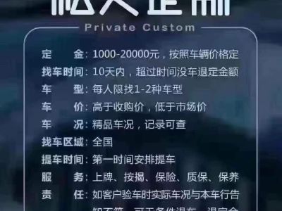 2000年1月 比亚迪 元 图片