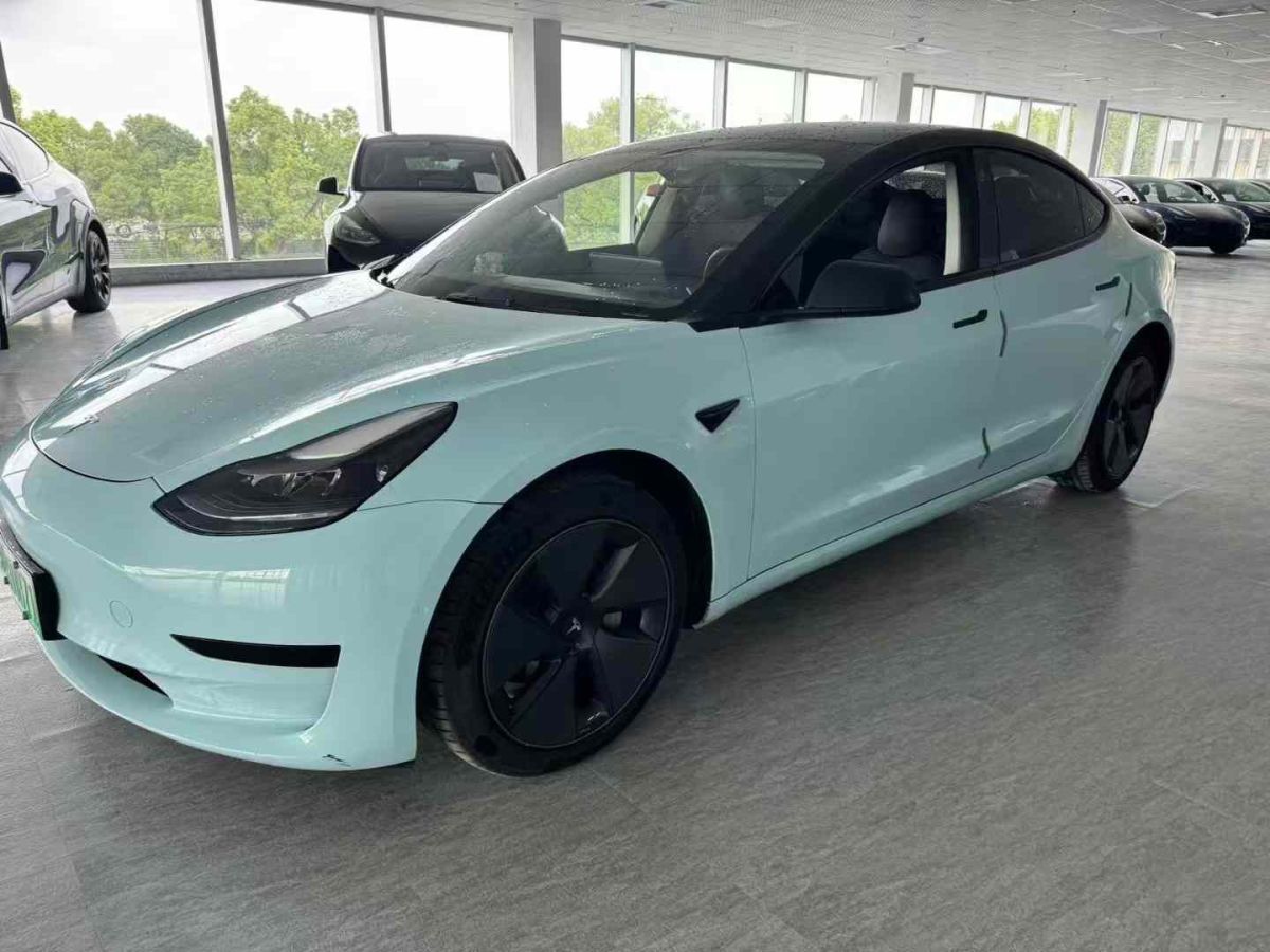 特斯拉 Model Y  2022款 Performance高性能全輪驅(qū)動(dòng)版圖片