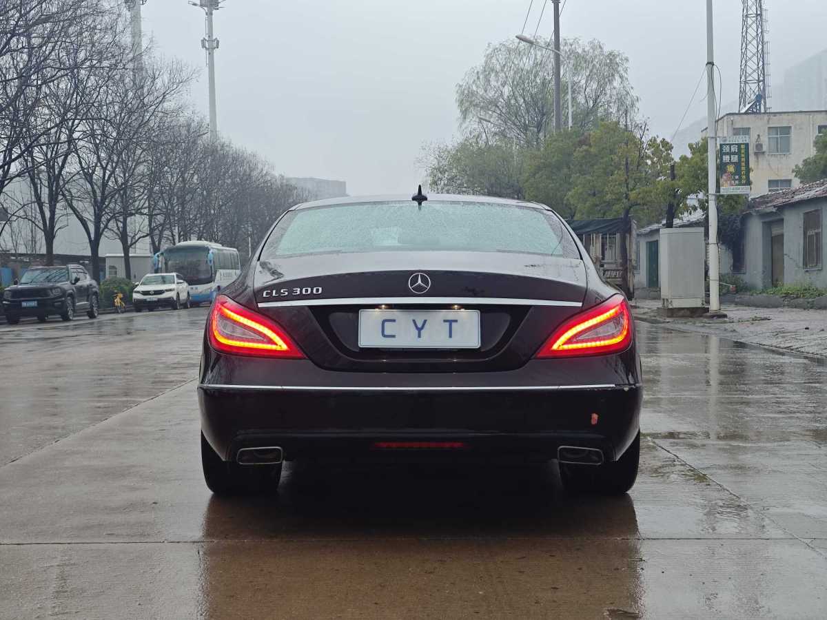 奔馳 奔馳CLS級(jí)  2012款 CLS 300 CGI圖片