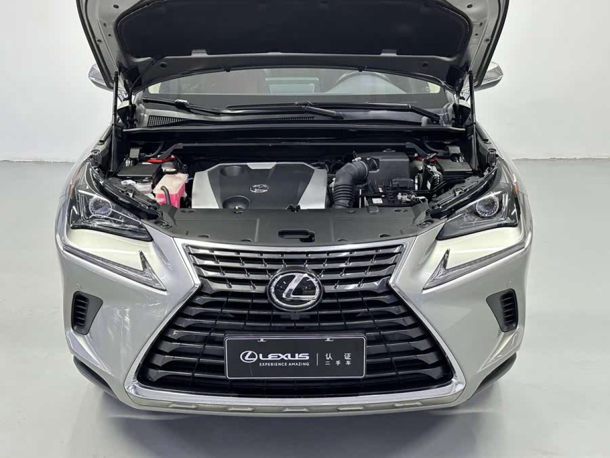雷克薩斯 NX  2020款 200 前驅(qū) 鋒行版 國VI圖片