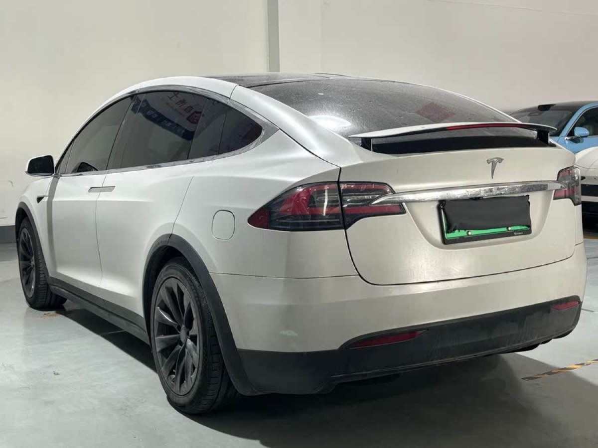 特斯拉 Model X  2019款 長續(xù)航版圖片