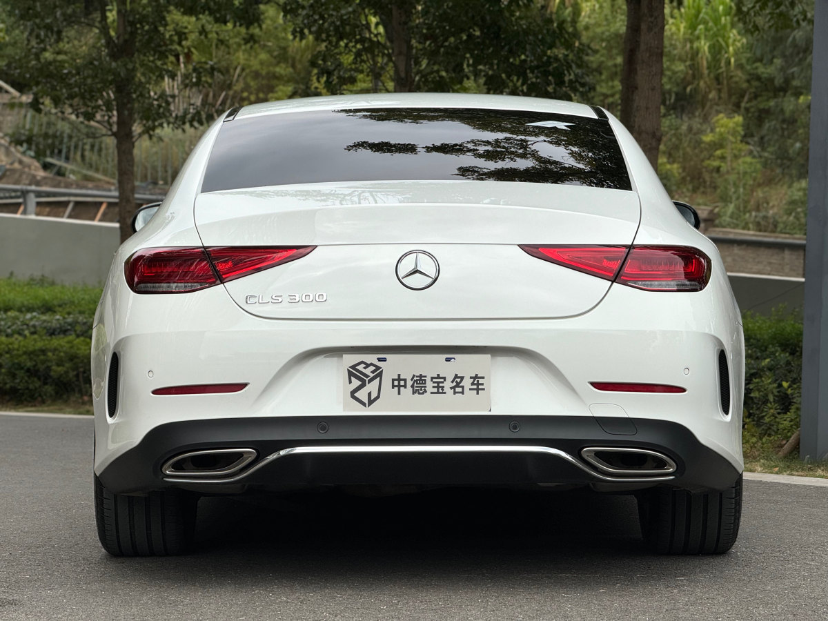 奔馳 奔馳CLS級  2023款 改款 CLS 300 豪華型圖片