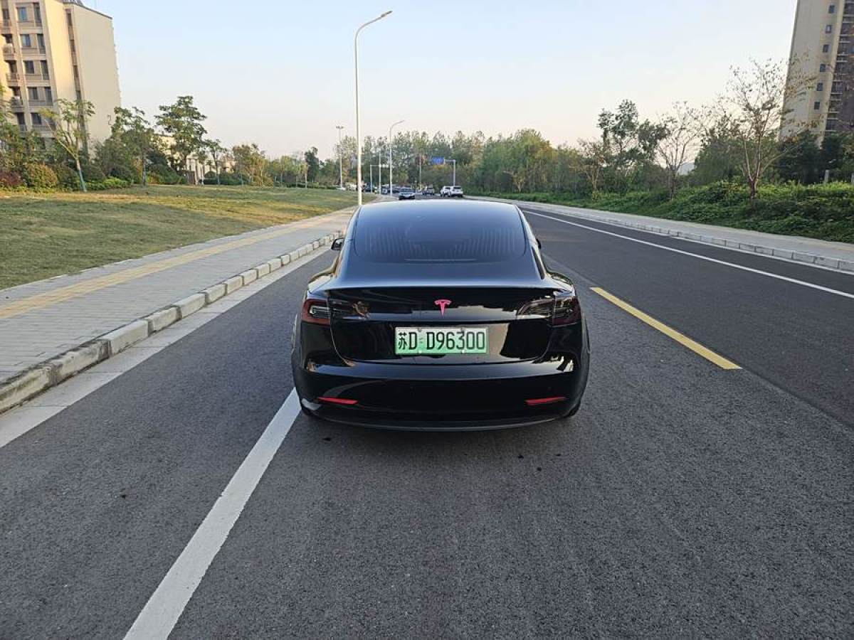 特斯拉 Model 3  2020款 改款 標(biāo)準(zhǔn)續(xù)航后驅(qū)升級版圖片